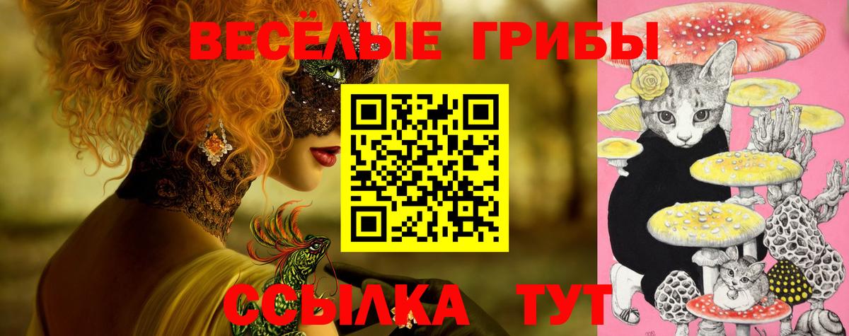 Псилоцибиновые грибы Magic Shrooms  Вход с VPN  Лесозаводск 